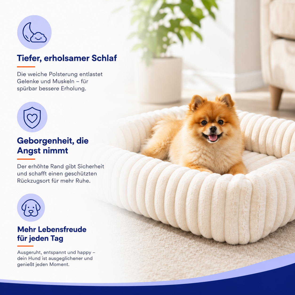 Orthopädisches Hundebett mit Plüsch & hohem Rand – Geborgen schlafen, entspannt aufwachen